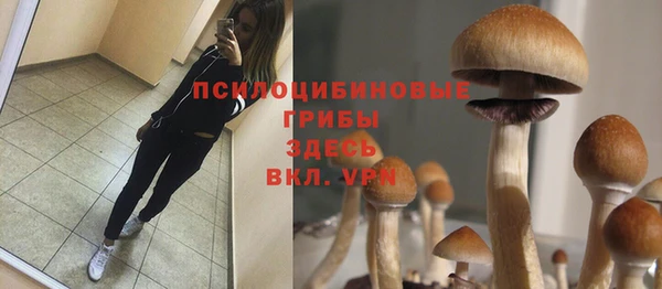 гашишное масло Новокубанск