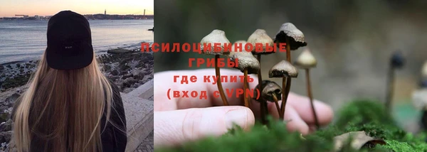 PSILOCYBIN Нефтегорск