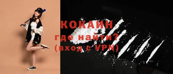 тгк Новозыбков