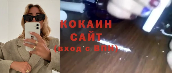 тгк Нея