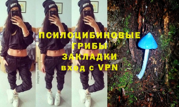 стаф Надым