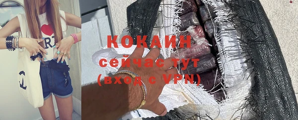 тгк Нея