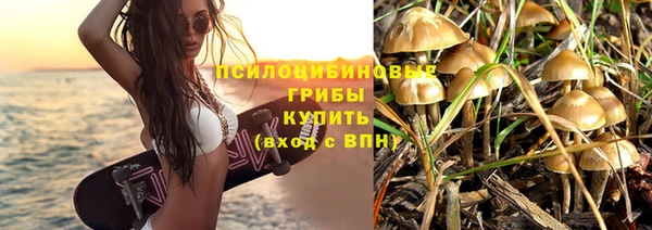 PSILOCYBIN Нефтегорск