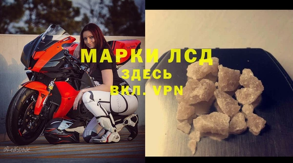 стаф Надым