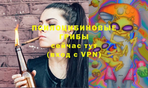PSILOCYBIN Нефтегорск