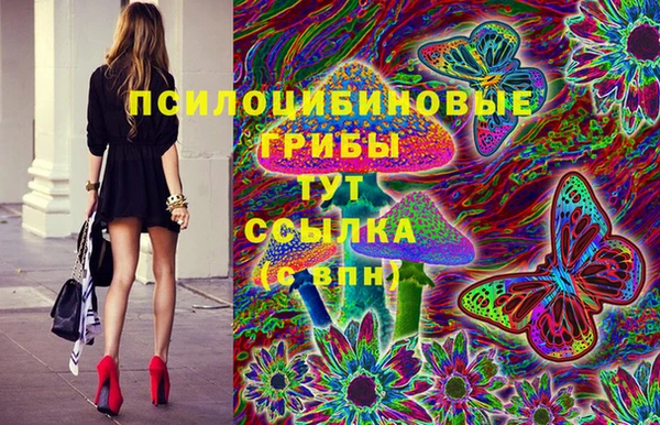 PSILOCYBIN Нефтегорск