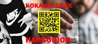 mdpv Гатчина
