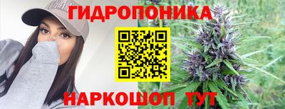 PSILOCYBIN Волжский