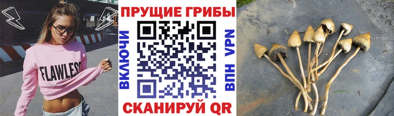 Псилоцибиновые грибы MAGIC MUSHROOMS  Астрахань 