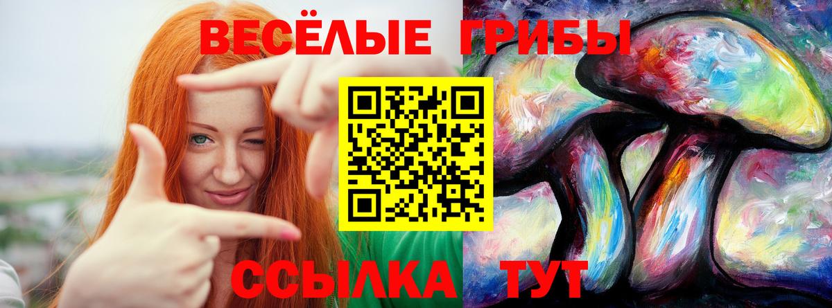 Россия  Галлюциногенные грибы Magic Shrooms  Вход с VPN 