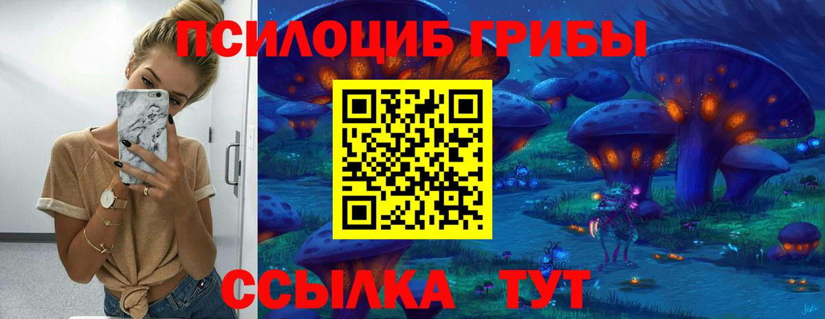 Галлюциногенные грибы Psilocybine cubensis  Россия 